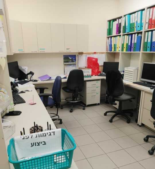 מעבדות רפואיות ריקות מאדם, הבוקר