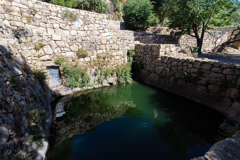 בריכת הסטף, צילום: sutterstok