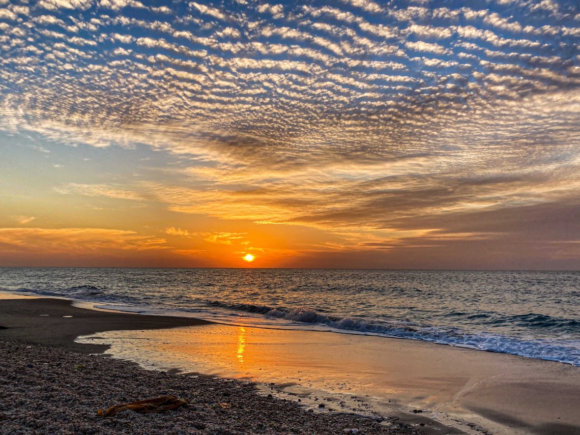 שמורת חוף ניצנים. צילום: SHUTTERSTOCK